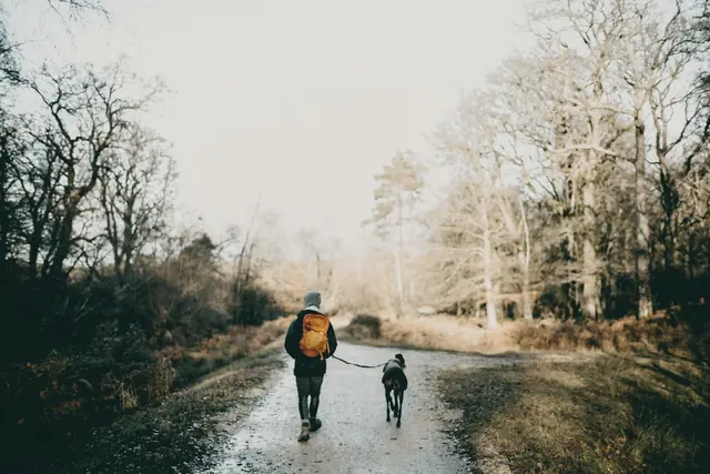 Coureuse et son chien sur un chemin en forêt