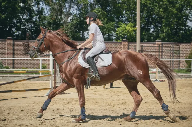 Cavalière au trot dans une carrière de sable