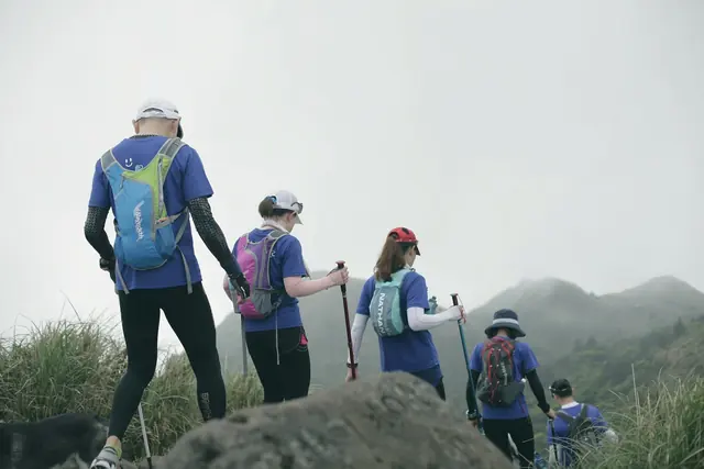 Groupe de marcheurs avec bâtons en montagne