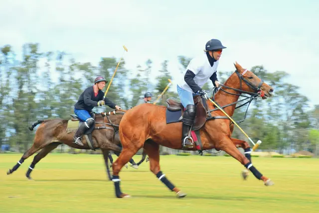 Joueurs de polo au galop