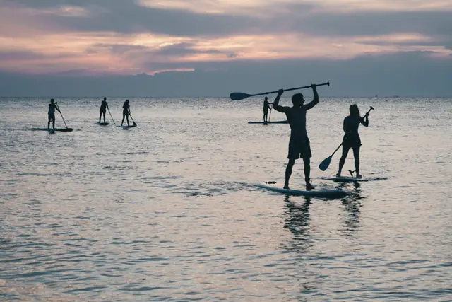 Pagayeurs de stand-up paddle sur un lac